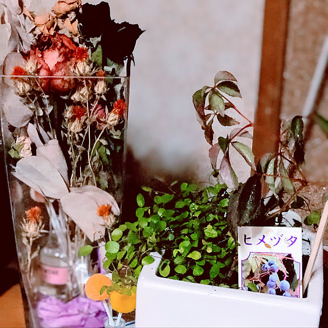 siawase.cfさんの実例写真