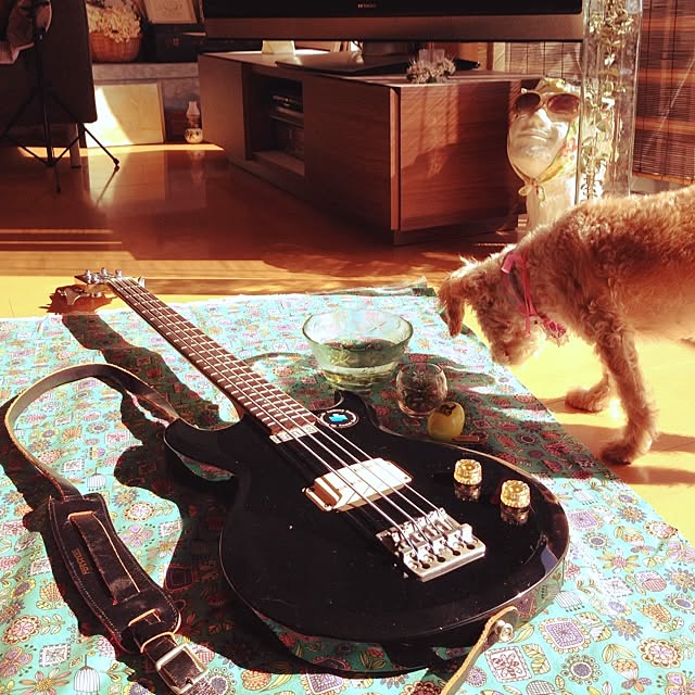 yさんの実例写真