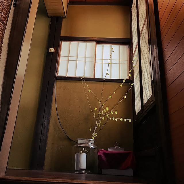 Satomiさんの実例写真