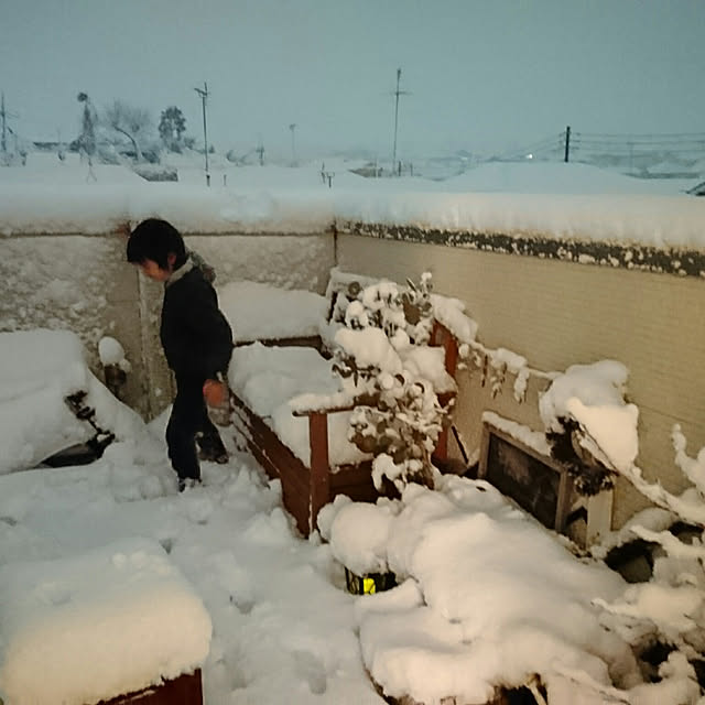 yokkoさんの実例写真
