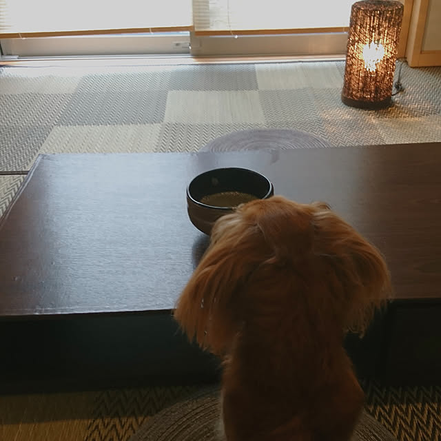 furukumaさんの実例写真