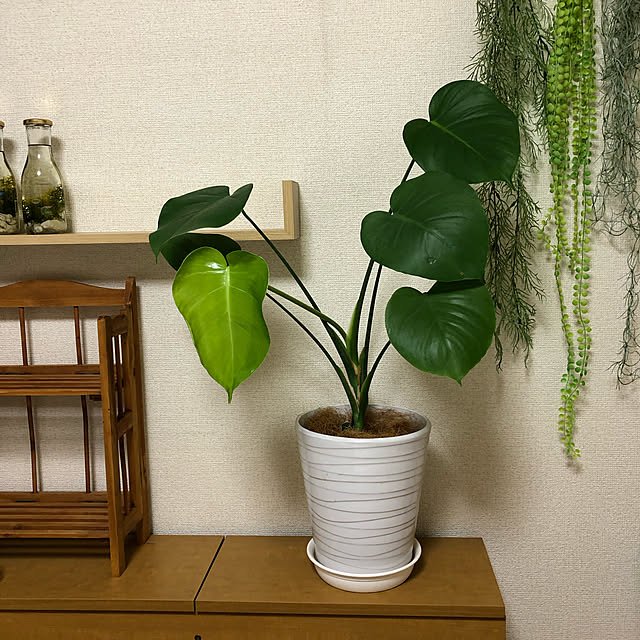 CoffeeHouseさんの実例写真