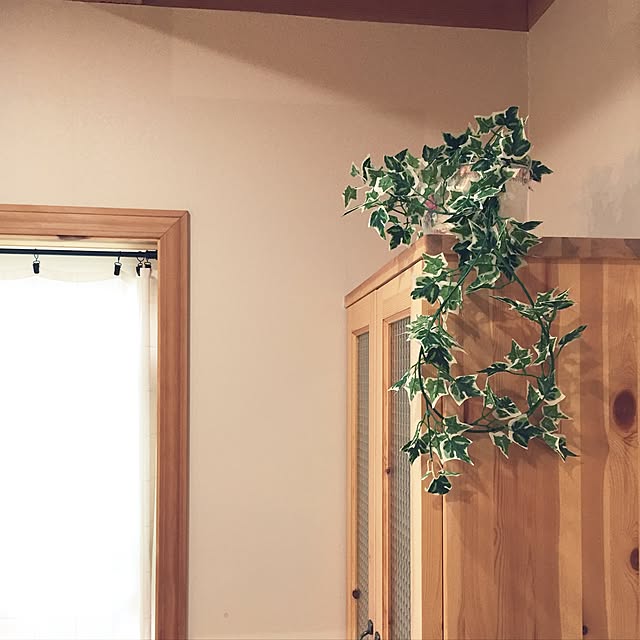 miyaさんの実例写真