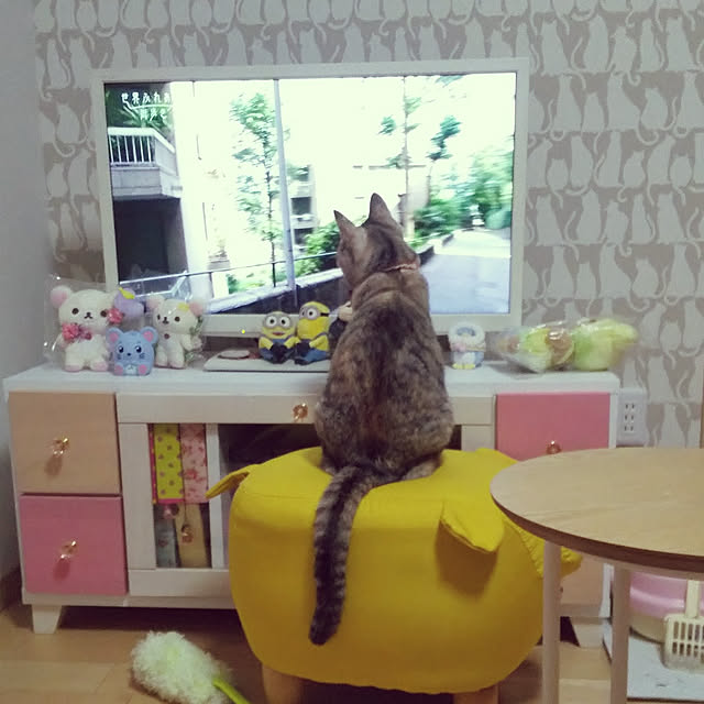 chikoさんの実例写真