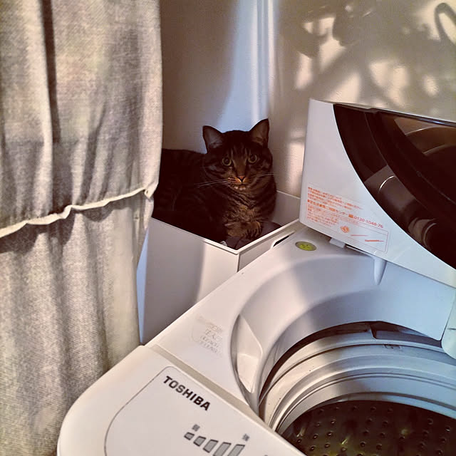 hihaさんの実例写真