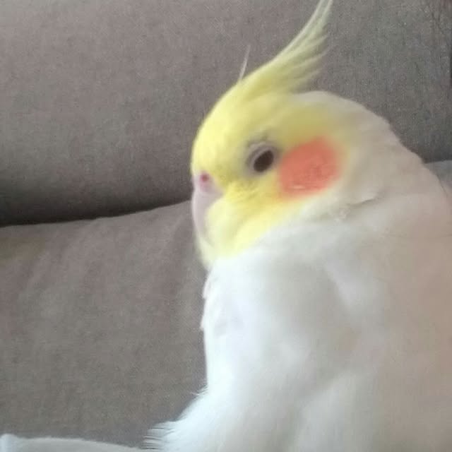 tettyさんの実例写真