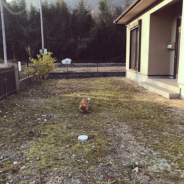 mugichuraさんの実例写真