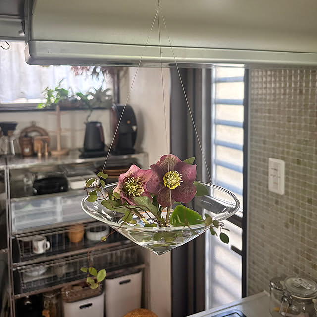 greycatsさんの実例写真