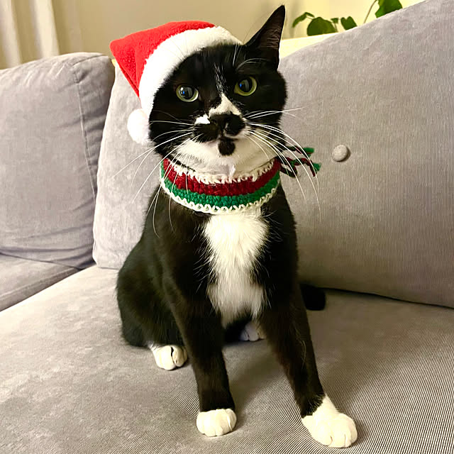 hirokoさんの実例写真