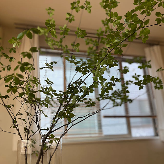 matsuさんの実例写真