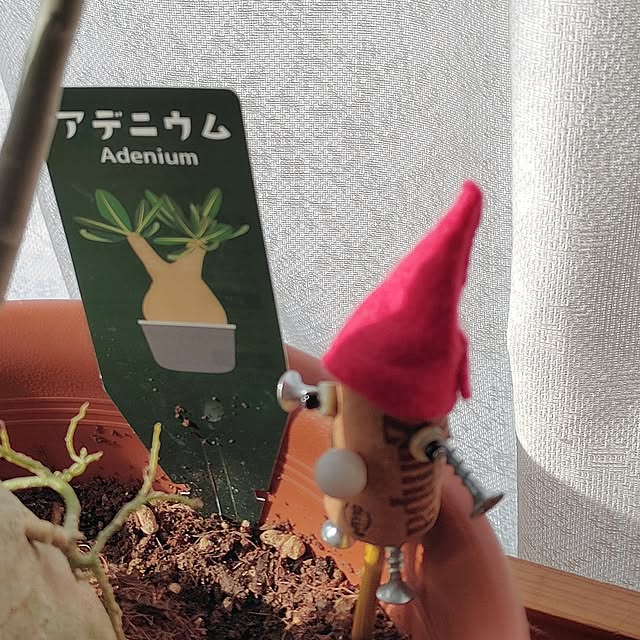 kiraさんの部屋