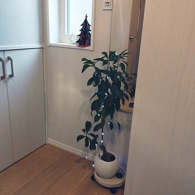 maifofoさんの実例写真