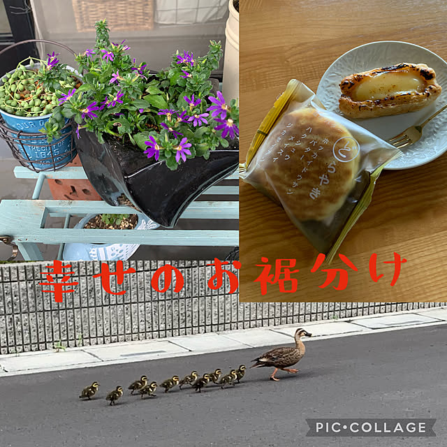 JUNさんの実例写真