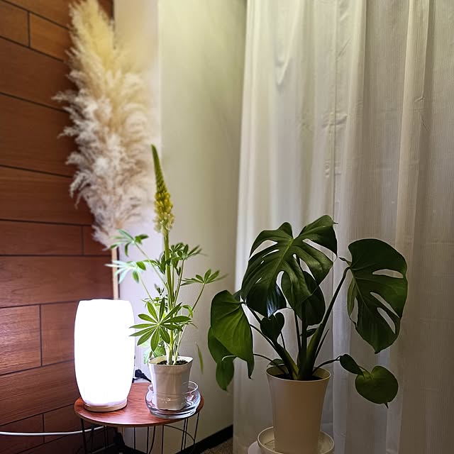 hisaさんの実例写真