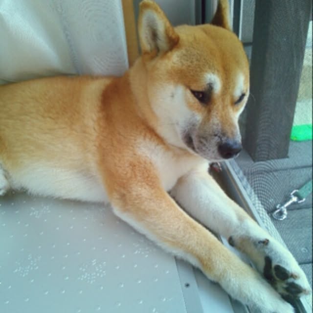 kotaさんの実例写真