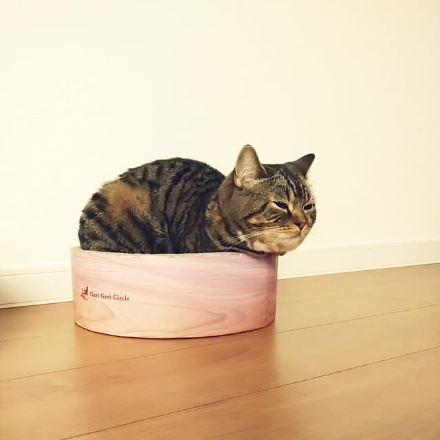 mochicoさんの実例写真