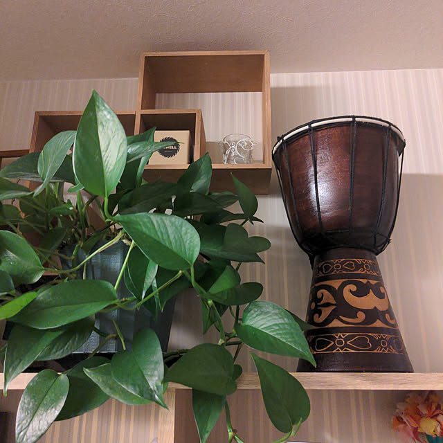 abcさんの実例写真