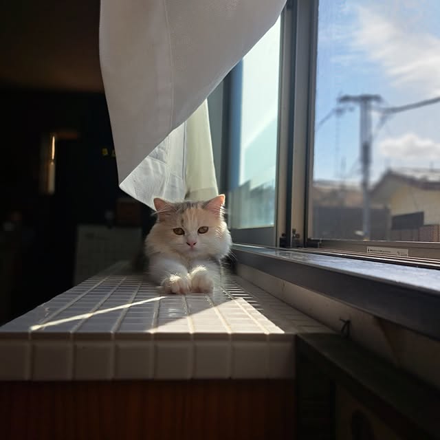 hiromi0302さんの実例写真