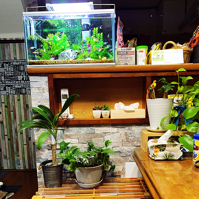 tututu0204さんの実例写真