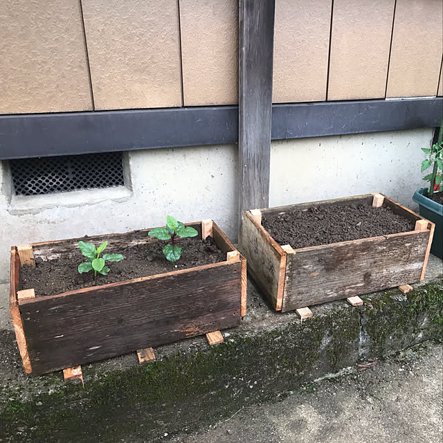 aoinokimiさんの実例写真