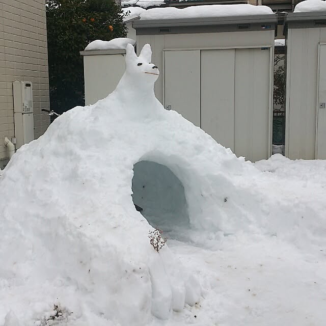 mugiinaさんの実例写真