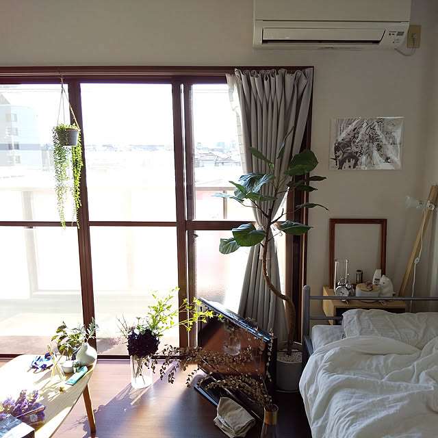 OL_potatokenpiさんの実例写真