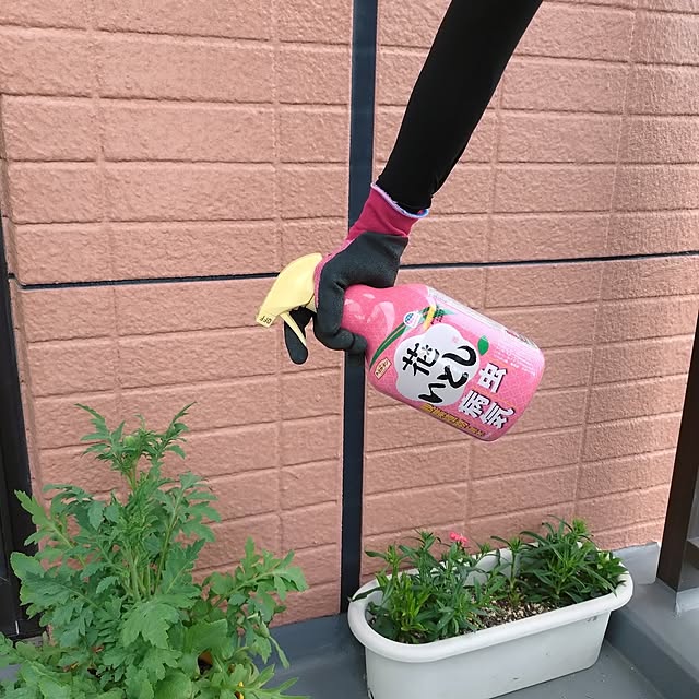 NOAHさんの実例写真