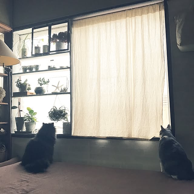 mucc08さんの実例写真