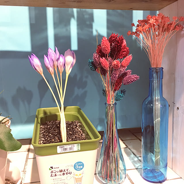 Satoshiさんの実例写真