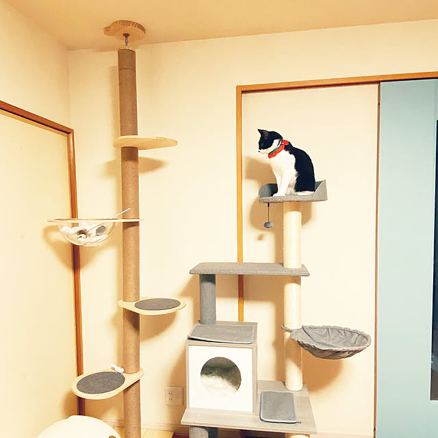 moolさんの実例写真