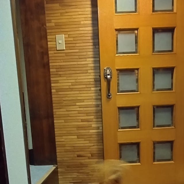 toratanさんの部屋