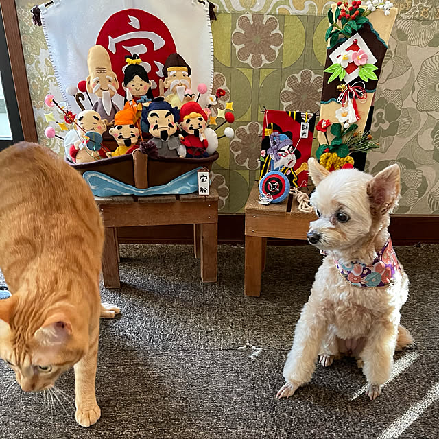 kikiさんの実例写真