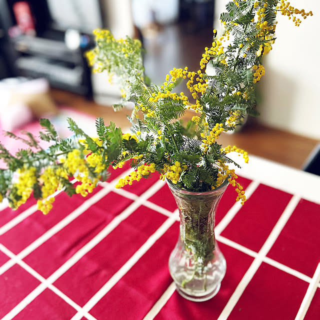 kiyoeさんの部屋