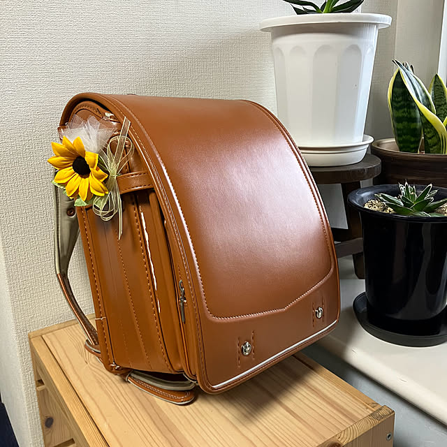 koshiregutyoさんの部屋