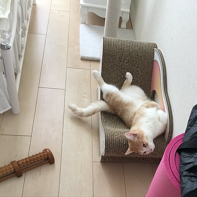 korinkorinさんの実例写真