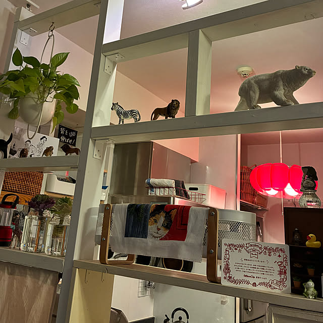 koshiregutyoさんの部屋