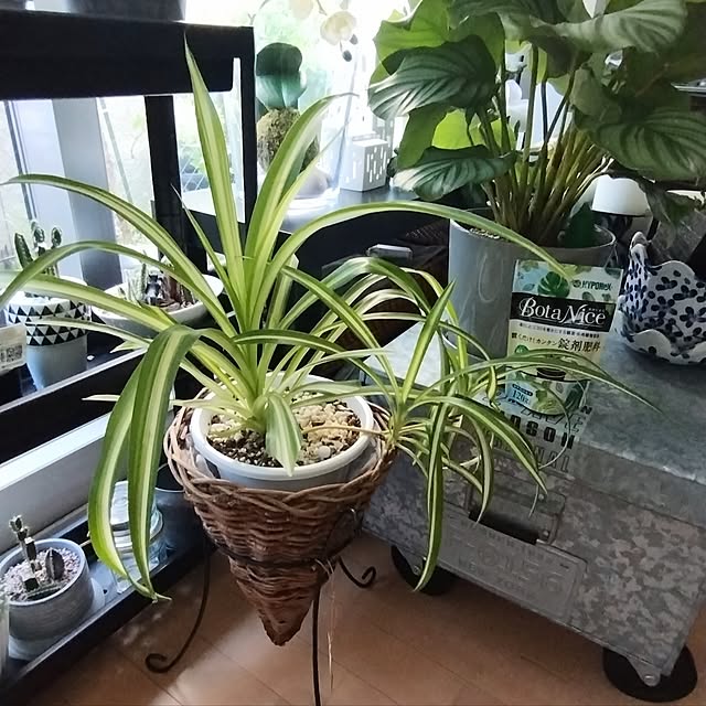 jinさんの部屋