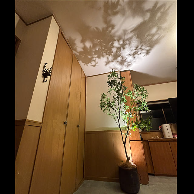 taeoさんの実例写真