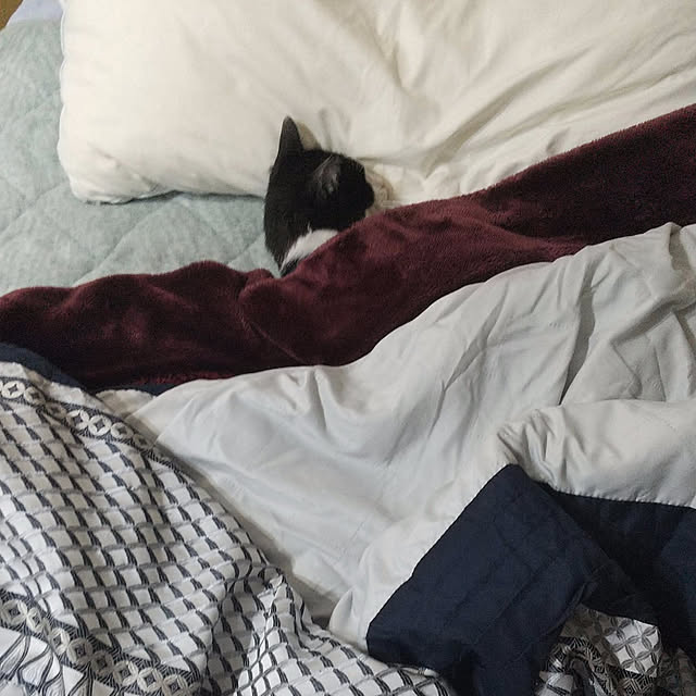 nikoさんの実例写真