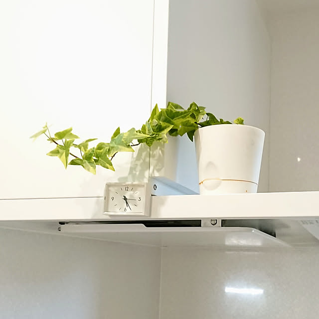 キッチン/アイビー/無印良品/観葉植物/クリナップのインテリア実例 - 2020-05-11 17:26:16