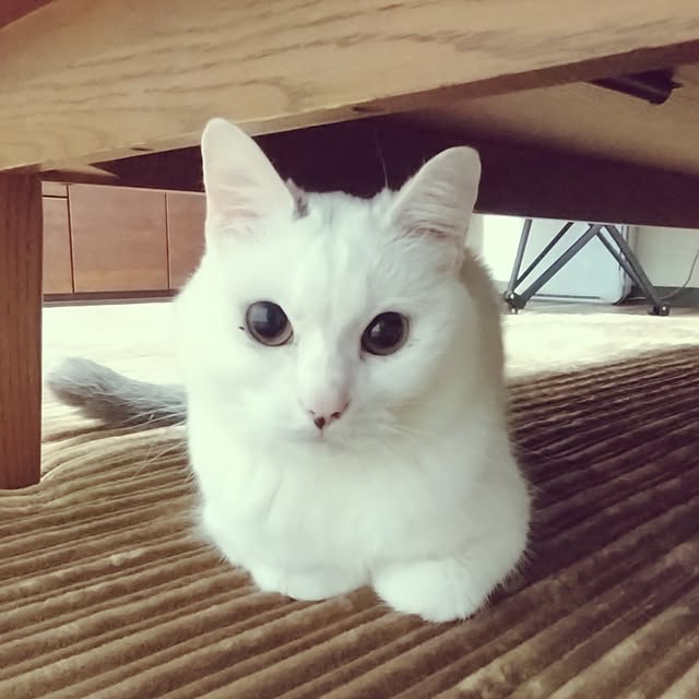 MIPORINNさんの部屋