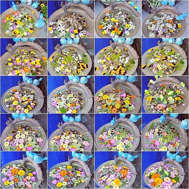 mocomocoさんの部屋