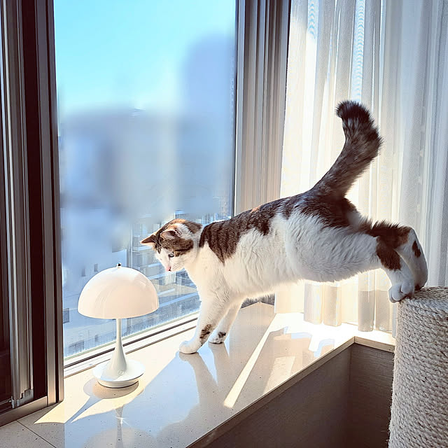 pandaさんの実例写真