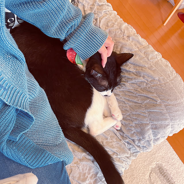 moolさんの部屋