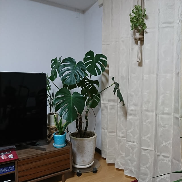 tさんの実例写真