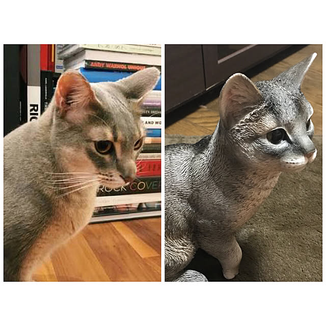 8x8bbangdさんの実例写真