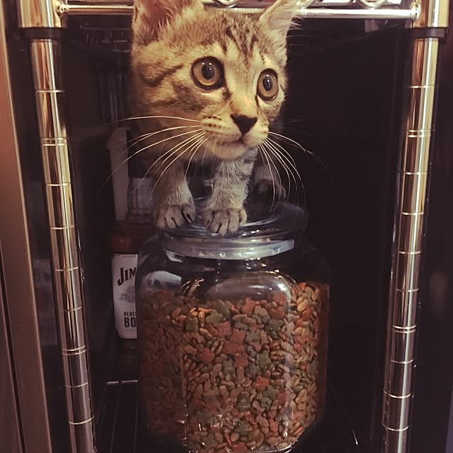 uraraさんの実例写真