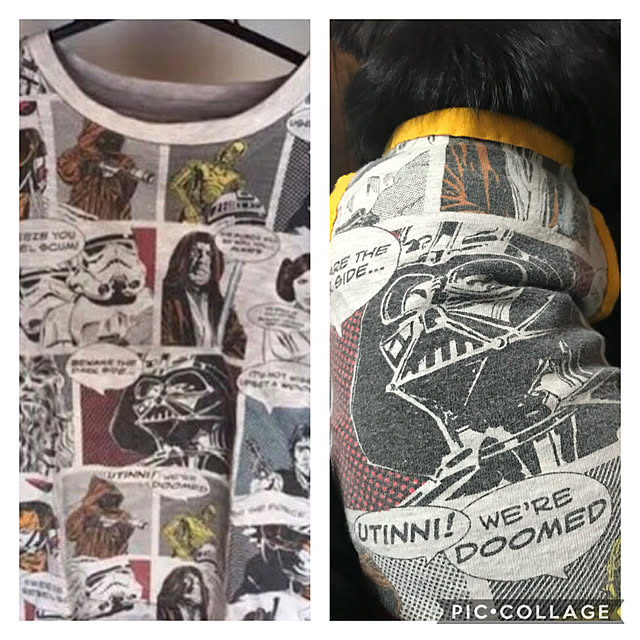 shinoshinoさんの実例写真