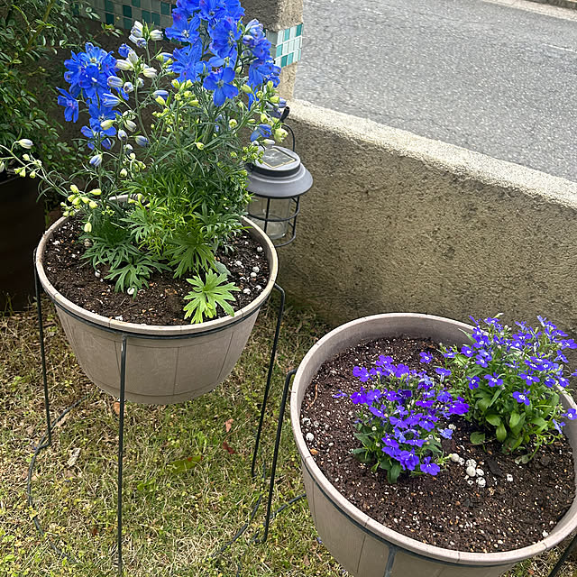 miukiさんの部屋