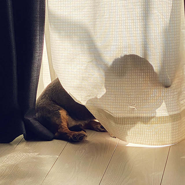 ohanaさんの実例写真